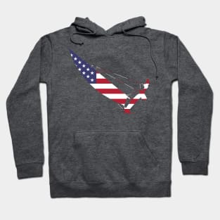 USA catamaran trapeze sailing Hoodie